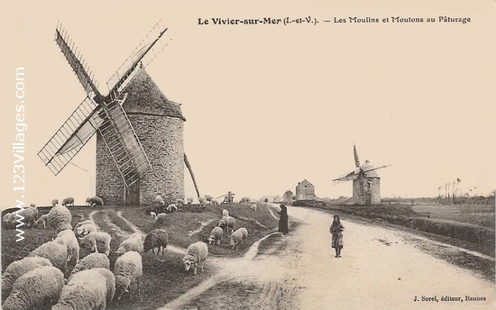 Carte postale de Vivier-sur-Mer