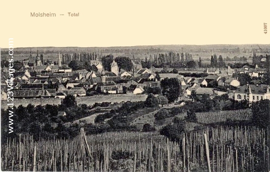 Carte postale de Molsheim
