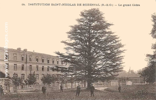 Carte postale de Buzenval
