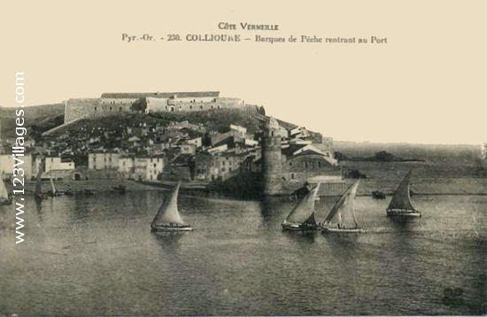 Carte postale de Collioure