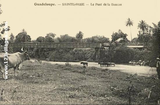 Carte postale de Sainte-Rose