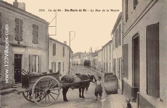 Carte postale de Sainte-Marie-de-Ré